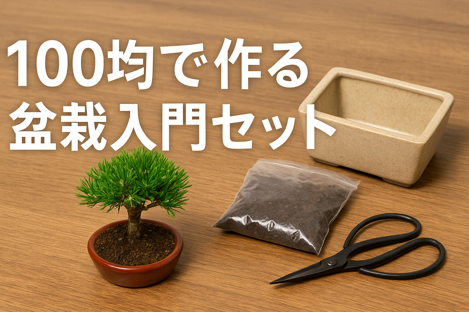 盆栽鉢　100 2025年版】100均で作る盆栽入門セット｜総額1,100円で始める本格盆栽