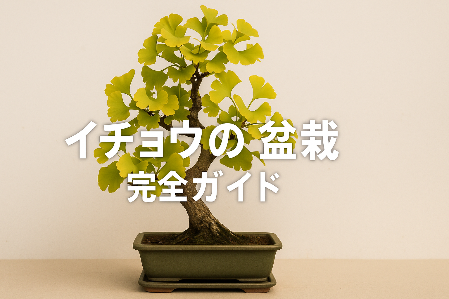 イチョウの盆栽完全ガイド｜黄葉美を楽しむ古代樹の育て方と管理法