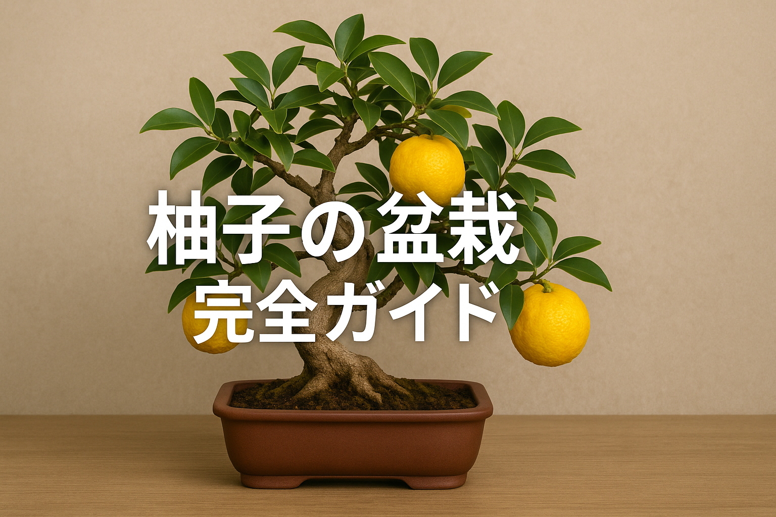 柚子の盆栽完全ガイド｜香り高い柑橘系盆栽の育て方と収穫の楽しみ